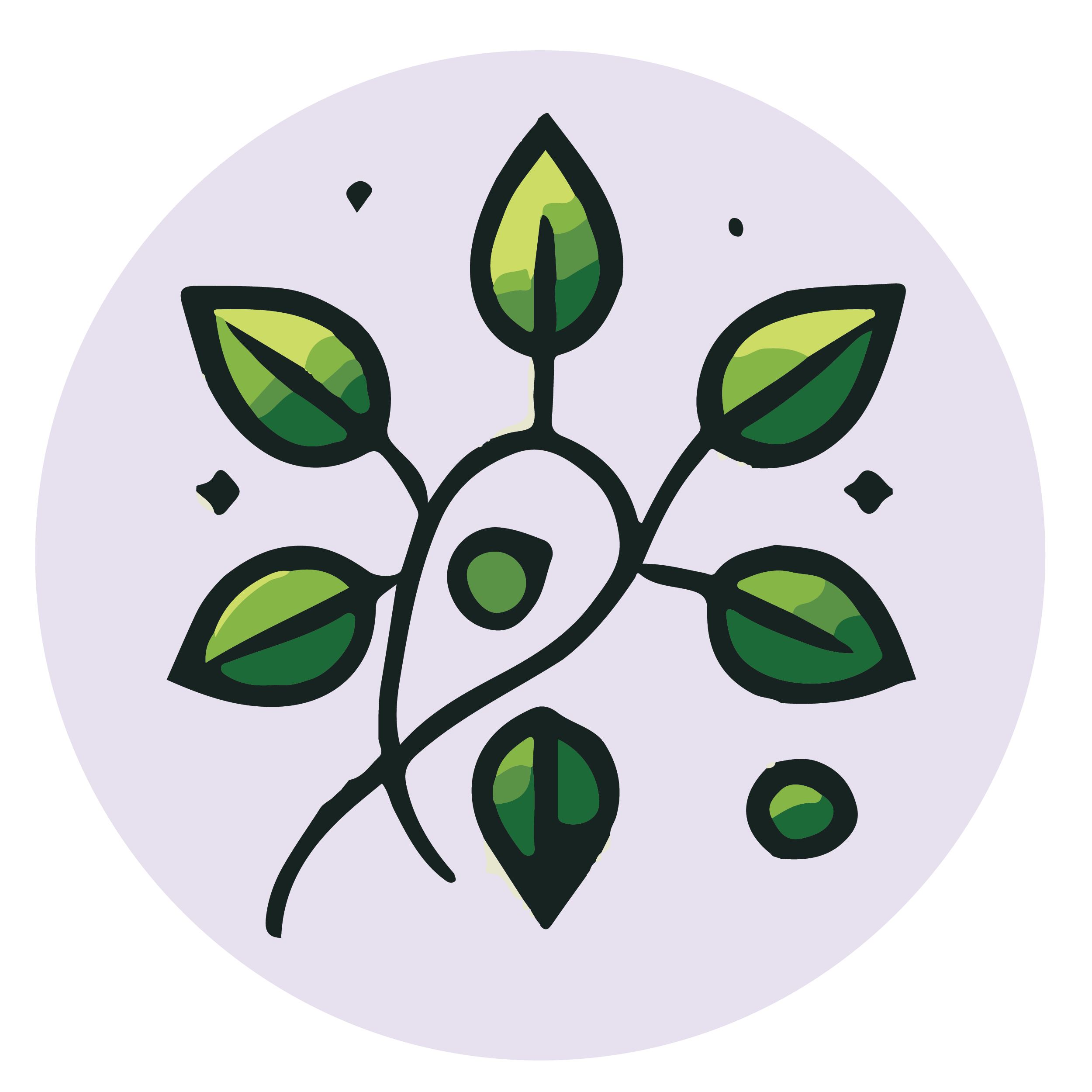 Image link