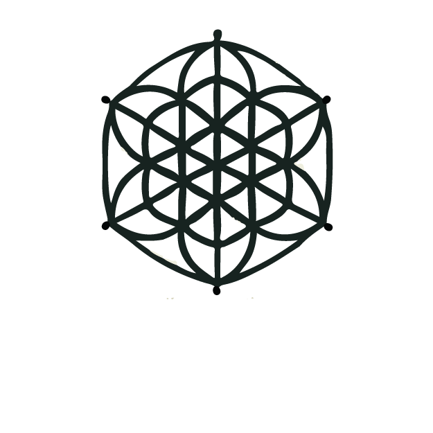 DMT (Type S)